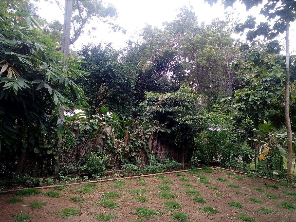 Thuruliya Residence Sigiriya Dış mekan fotoğraf
